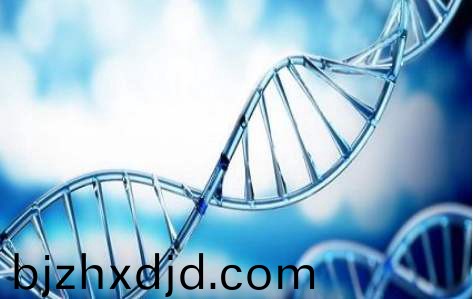 百傲(ao)2019再穫三證，進入DNA免提時代