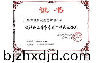 上海市專(zhuan)利工作試點企業