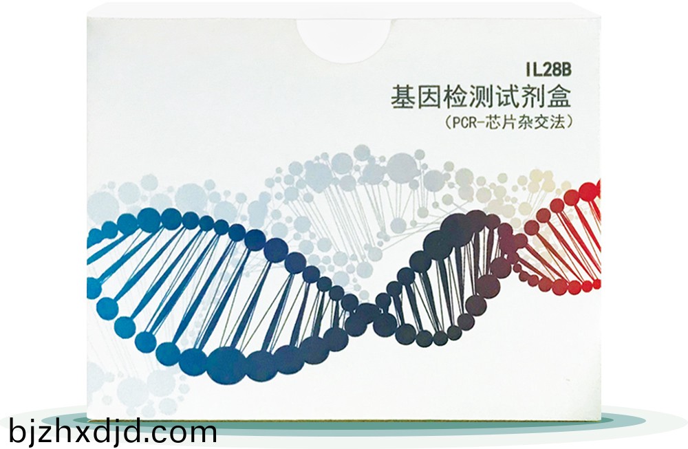 IL28B
基囙檢測試劑盒